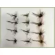 18 Greenwell Dry Flies - Winged, Grey Hen, Grey Hen Variant