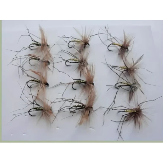 12 BARBLESS Daddys, Standard and Olive