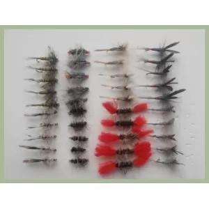 40 Dries - Named Patterns