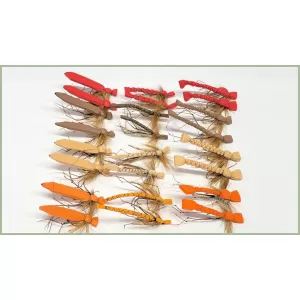 24 Coloured Daddies, Flat, skinny and foam daddy