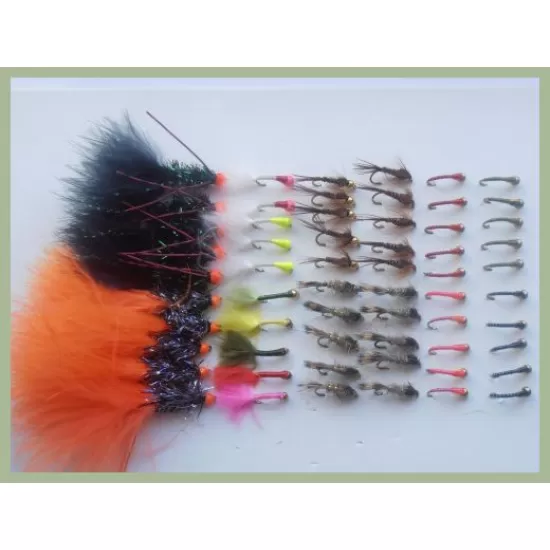 60 Popular Winter Wonders