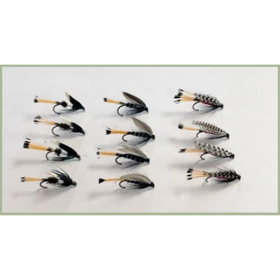 12 Wet Flies - Blae and Black, Prince Charming, Teal and Red