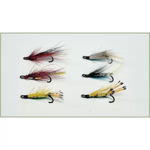 6 Salmon Doubles - Willie Gun, Blue Charm, Green Highlander