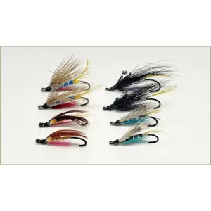 8 Salmon Singles - Potato, Freemans Fancy, Moc Cert and Blue Charm