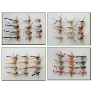 Best Daddy Long Legs Bundle