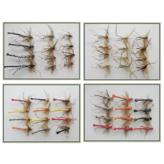 Best Daddy Long Legs Bundle