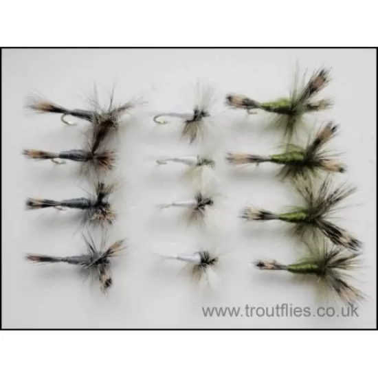 12  Barbless Wulff - Grey,White and Olive