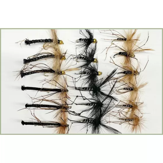 18 Daddy Longlegs - Black, Black Body and Detached