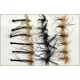18 Daddy Longlegs - Black, Black Body and Detached