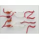 12  Mixed Worm -  Fritz Worm, Red & White Chenille Worms