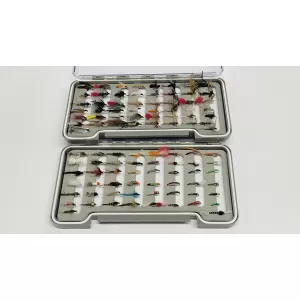 100 Flies presented in 2 Boxes