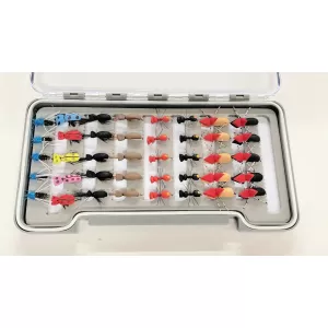 40 Foam Ants and Beetles Boxed Set