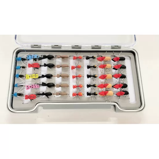 40 Foam Ants and Beetles Boxed Set