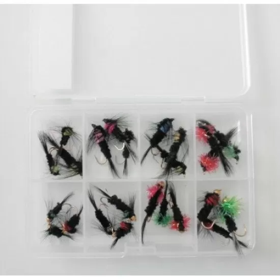 Comp Box - 24 Montana Nymph