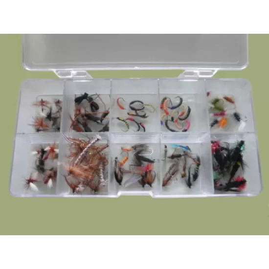100 Mixed Flies in a Clear Presentation Box