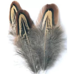 Cock Pheasant Shoulder (Church Windows)