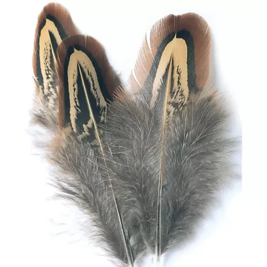 Cock Pheasant Shoulder (Church Windows)