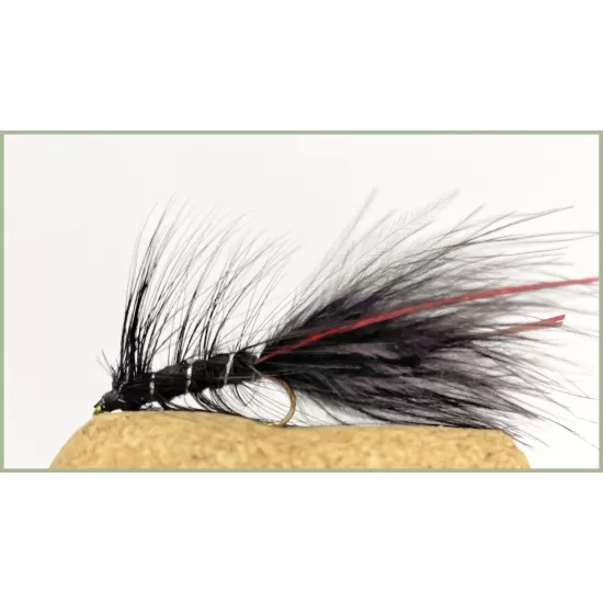 Flash Damsel - Black/Red