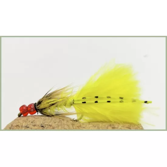 Hothead Sunburst Damsel