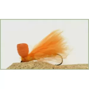 Orange Cormorant Booby