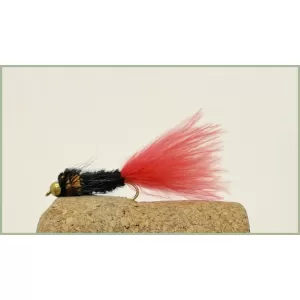 Goldhead Orange Tailed  Montana