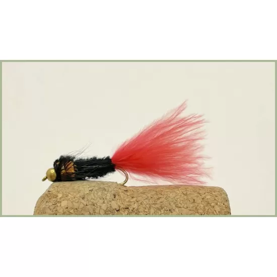 Goldhead Orange Tailed  Montana