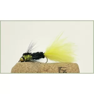 Goldhead yellow Tailed  Montana