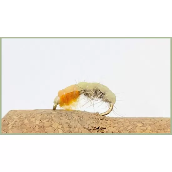 40 Boxed Czech Nymph