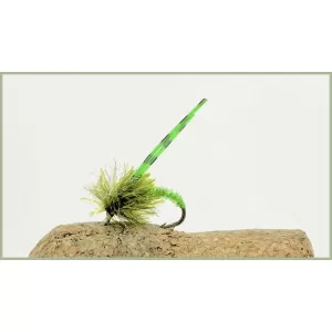 Olive  Stalking Bug - Stalkers