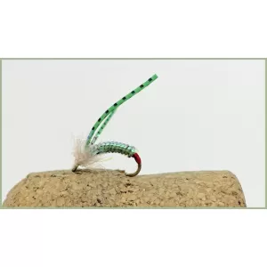 White Stalking Bug - Stalkers