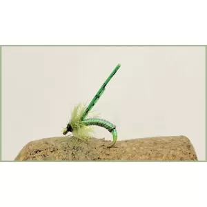 Chartreuse Stalking Bug - Stalkers