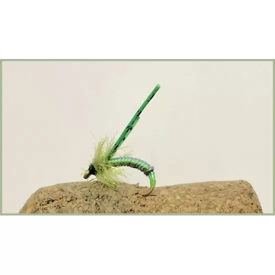 Chartreuse Stalking Bug - Stalkers