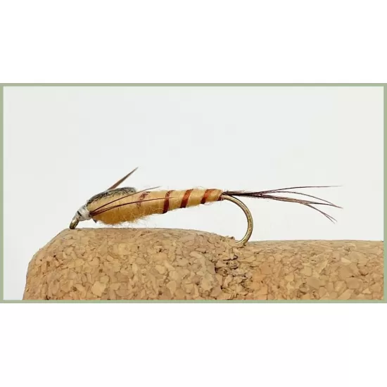 Tan Long shank Mayfly