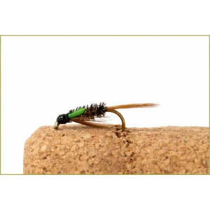Green Cheek Diawl Bach