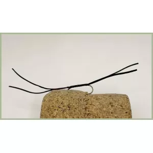 Barbless Black Apps Bloodworm