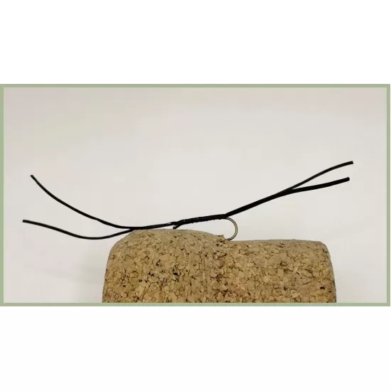 Barbless Black Apps Bloodworm