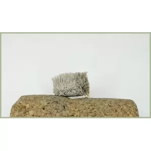 Mullet Fly Brown Bread