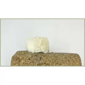 Mullet Fly White Bread