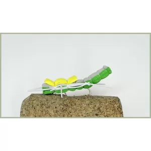 Green and Yellow Grasshopper