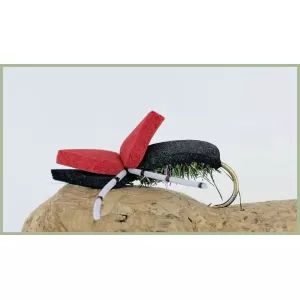 18 Dry Flies - Beetles and Foam Ants inc Hi Viz, Ants and Standard
