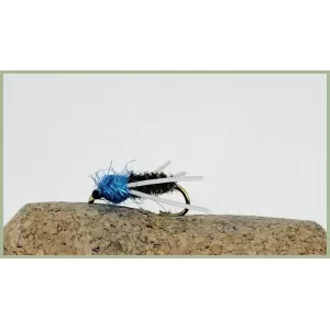 Blue Thorax Beetle
