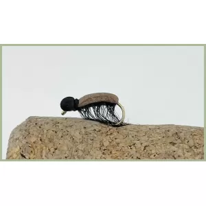 Bracken Clock Beetle