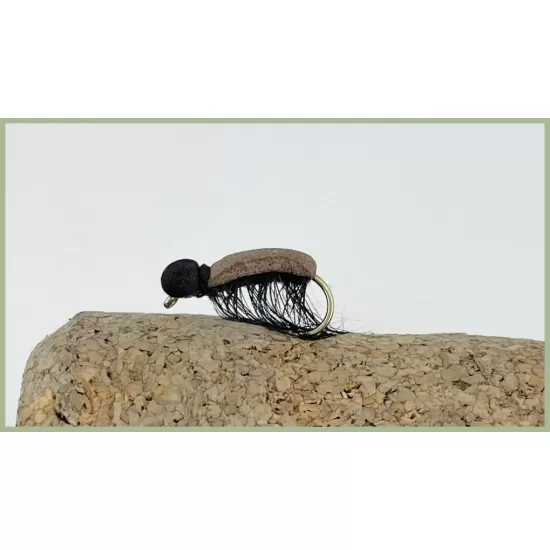 Bracken Clock Beetle