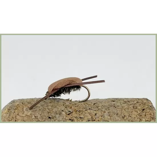 Barbless Brown Gum Beetle