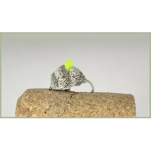 Hot Spot Dog Biscuit - Lime