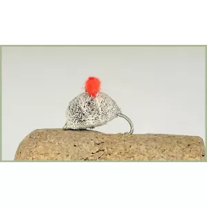 Hot Spot Dog Biscuit - Orange