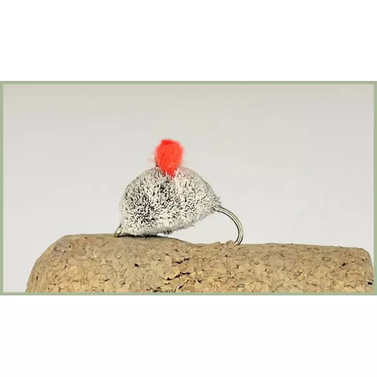 Hot Spot Dog Biscuit - Orange