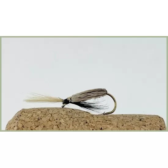 Shuttlecock  CDC Beetle