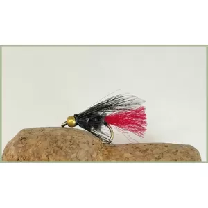 Goldhead Red Tailed Viva