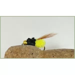 Yellow Winged Montana